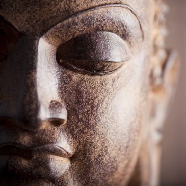 vue de la tête d'une statue de bouddha